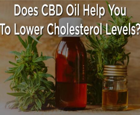 Can CBD Oil Treat High Cholesterol Levels