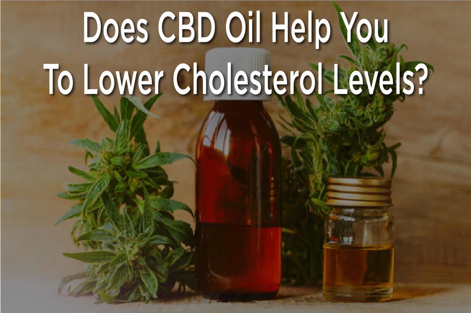 Can CBD Oil Treat High Cholesterol Levels